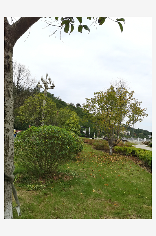 绿意盎然的休闲公园环境-众图网