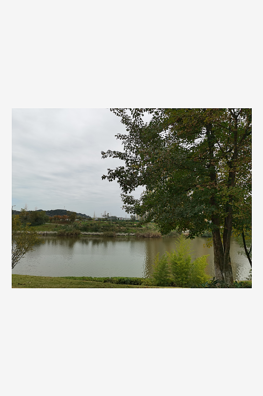 绿意盎然的休闲公园环境-众图网