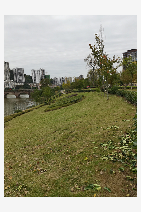 绿意盎然的休闲公园环境-众图网