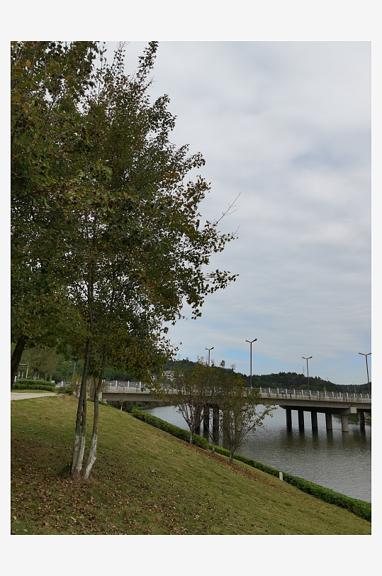 绿意盎然的休闲公园环境-众图网