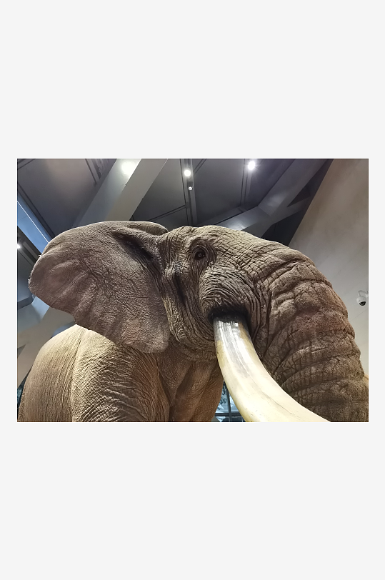 成都博物馆馆内陈列品-众图网