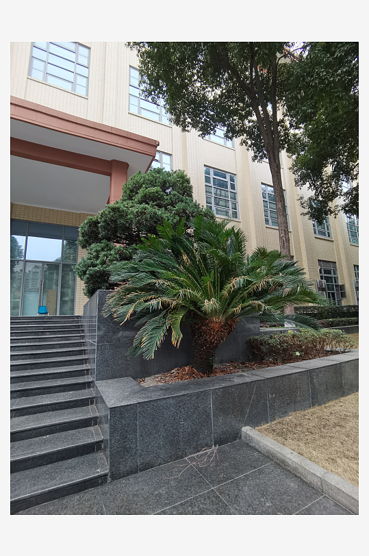 现代风格建筑外观-众图网