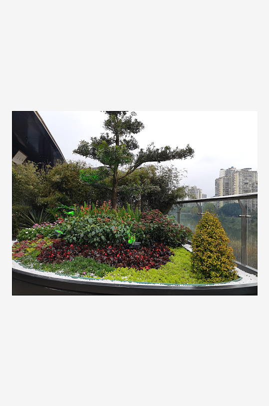 多彩植物装饰环境-众图网