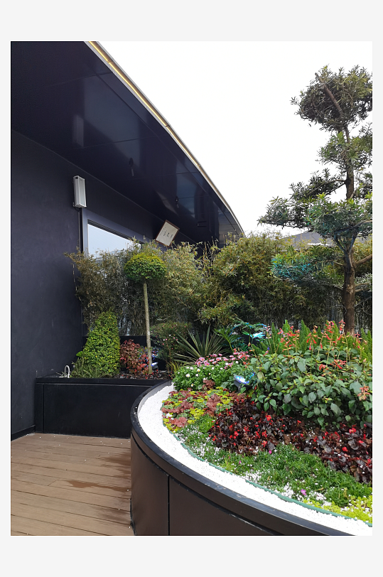 多彩植物装饰环境-众图网