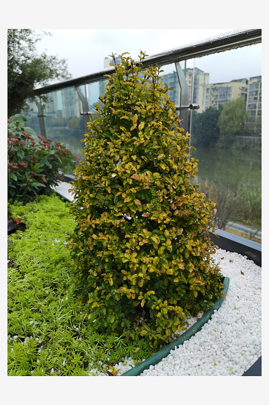 多彩植物装饰环境-众图网