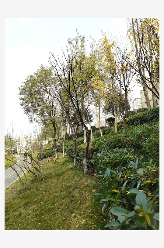 休闲宜居的城市公园-众图网