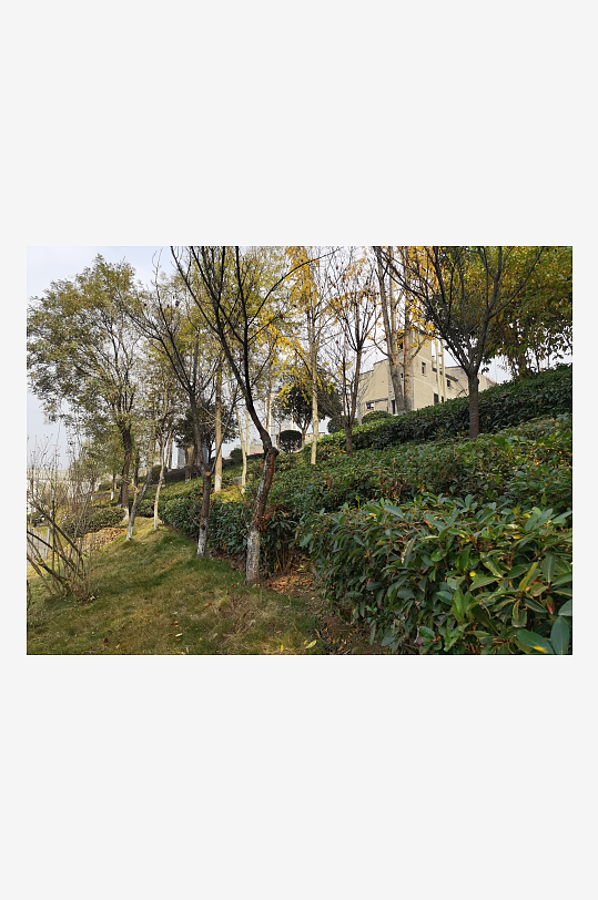 休闲宜居的城市公园-众图网