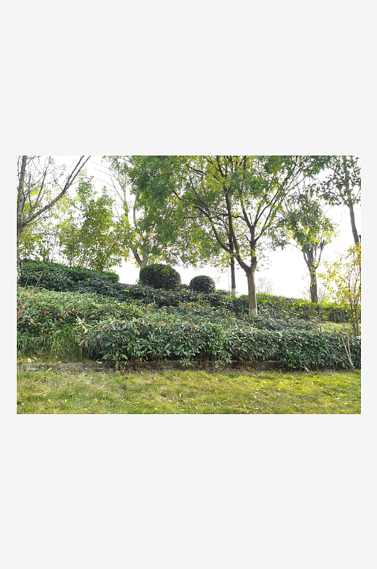 休闲宜居的城市公园-众图网