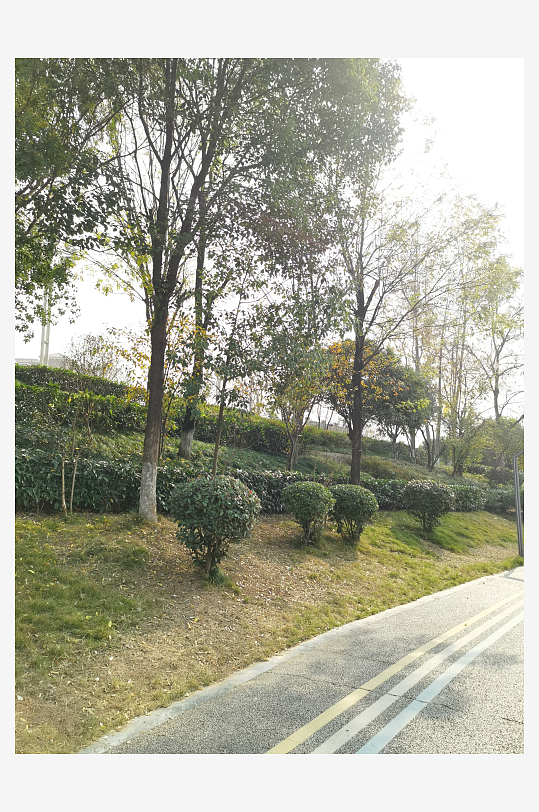 休闲宜居的城市公园-众图网