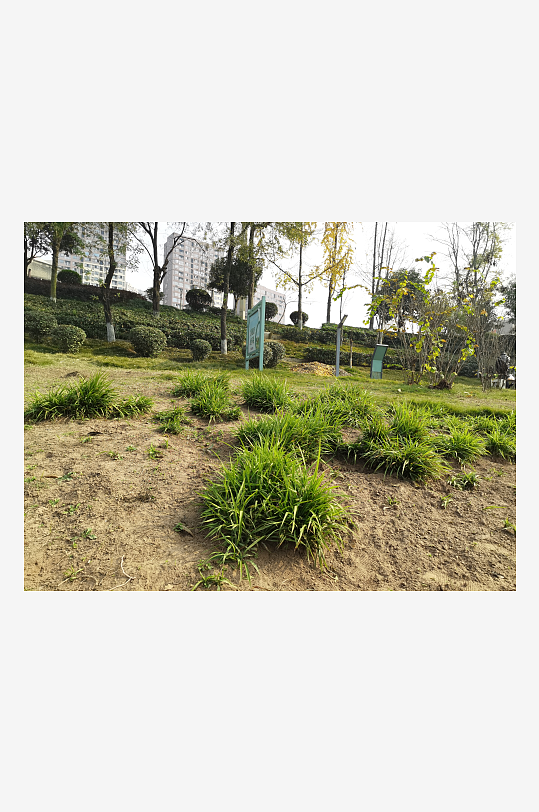 舒适宜居的城市公园-众图网