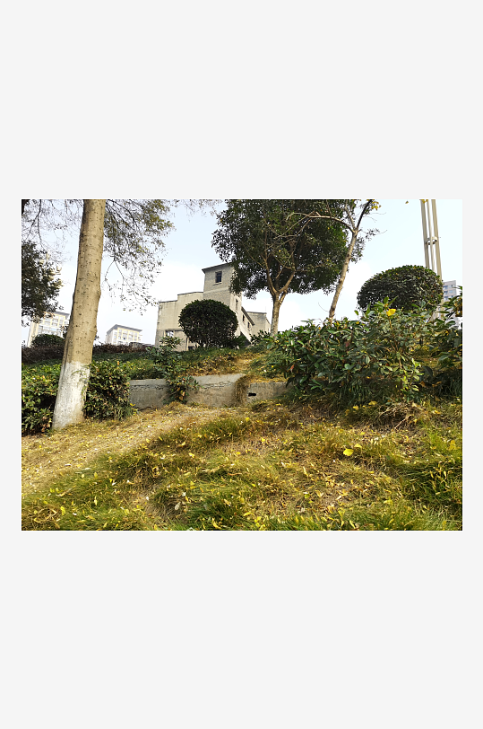 清新自然的城市公园-众图网