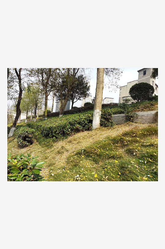 清新自然的城市公园-众图网
