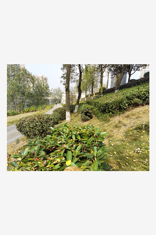 清新自然的城市公园-众图网