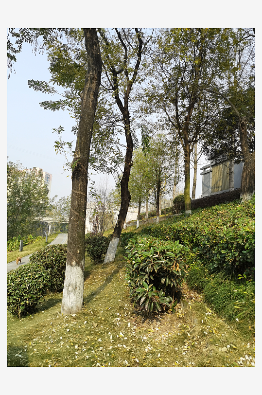 清新自然的城市公园-众图网