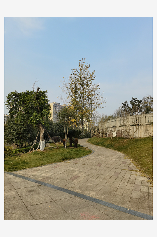 清新舒适的城市公园-众图网