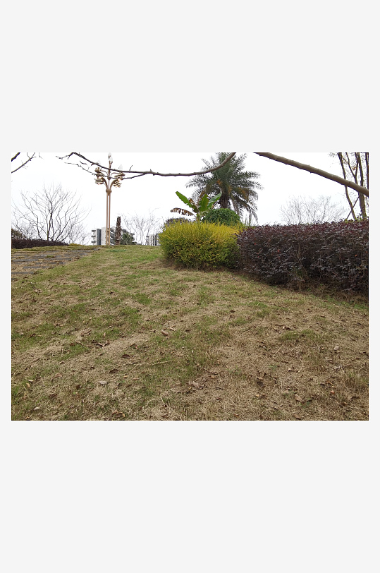 城市公园休闲场所-众图网