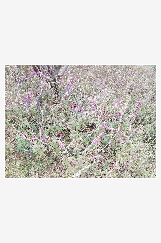 城市公园休闲场所-众图网