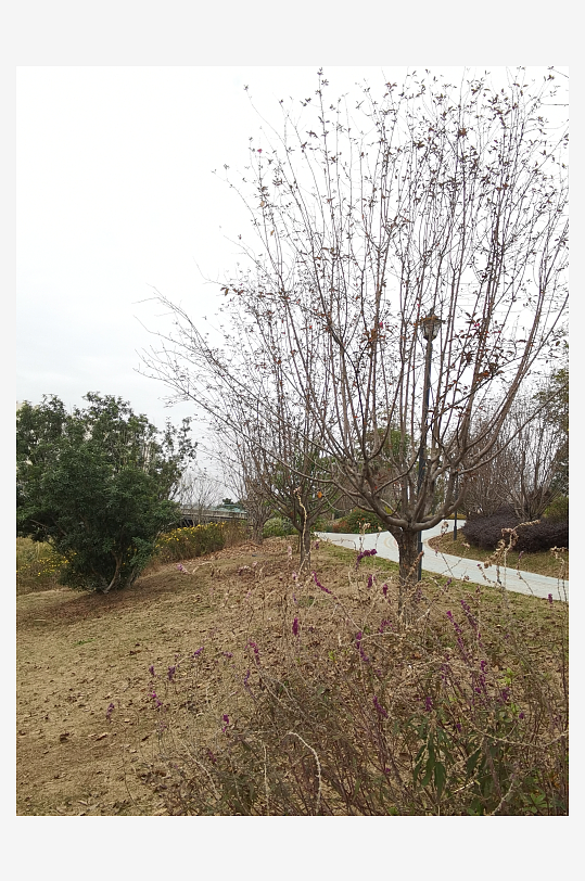城市公园休闲场所-众图网
