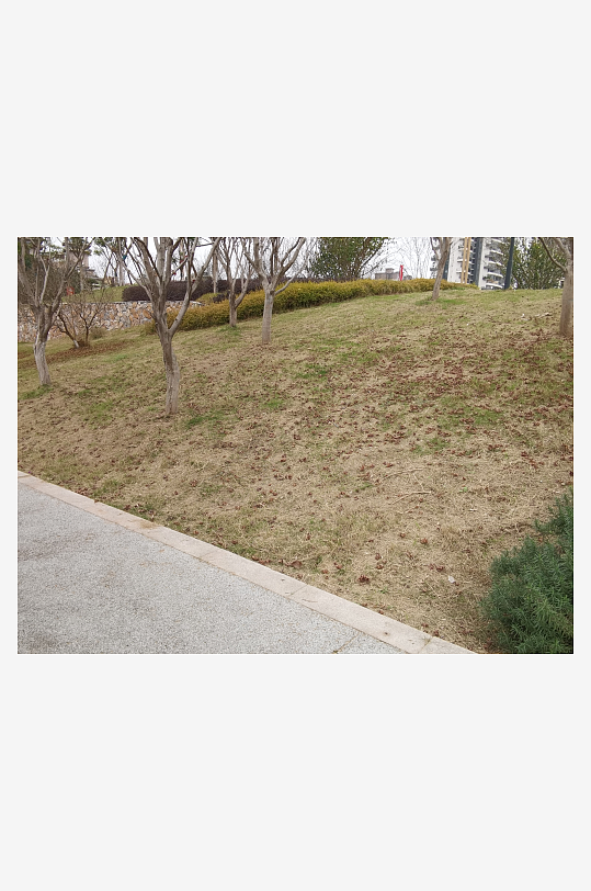 休闲公园冬日环境-众图网