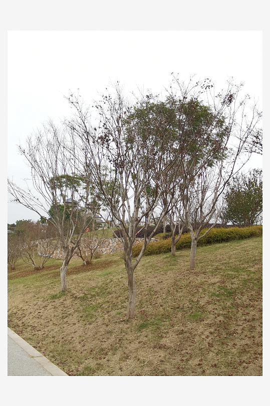 休闲公园冬日环境-众图网