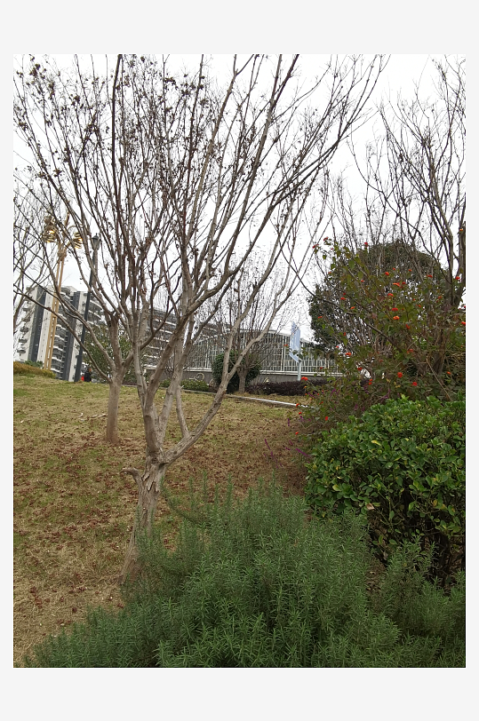 休闲公园冬日环境-众图网