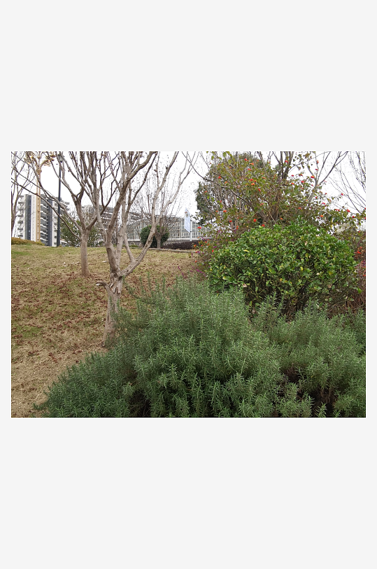 休闲公园冬日环境-众图网