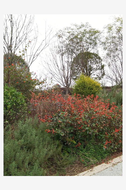 休闲公园冬日环境-众图网