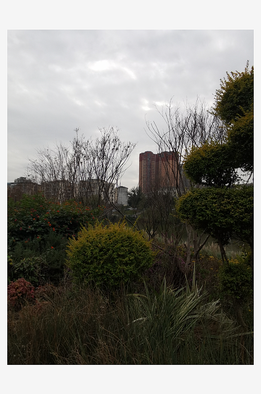 休闲公园冬日环境-众图网