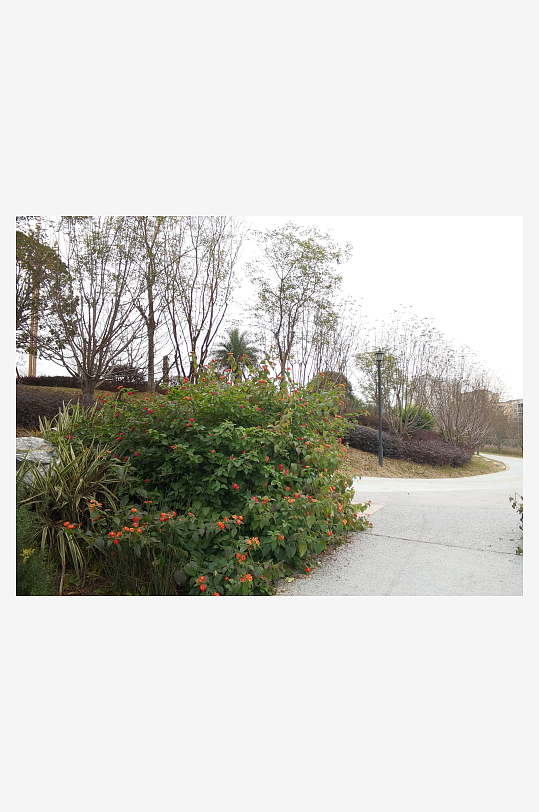 休闲公园生态环境-众图网