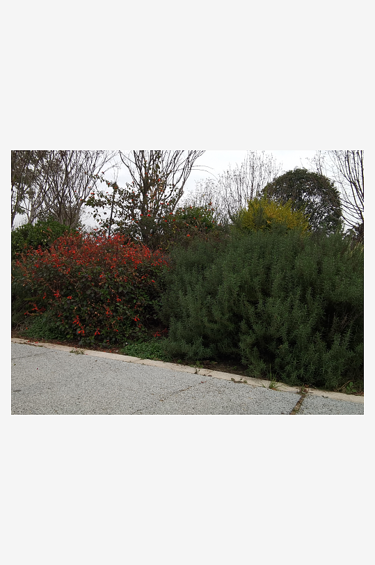 休闲公园生态环境-众图网