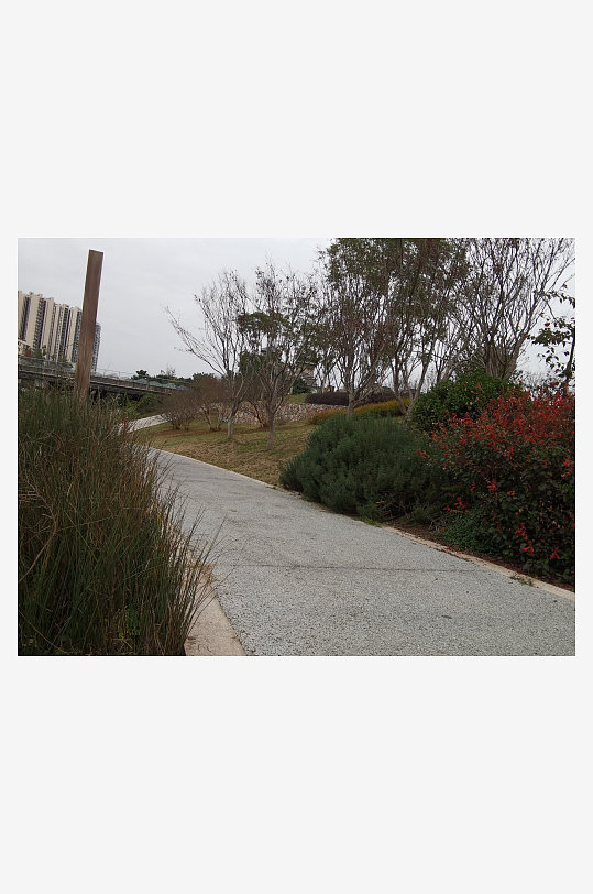 休闲公园生态环境-众图网