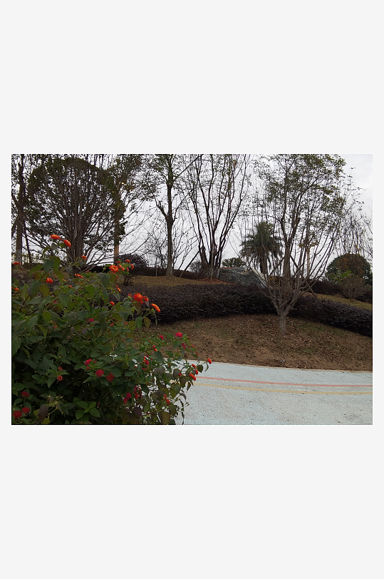 休闲公园生态环境-众图网