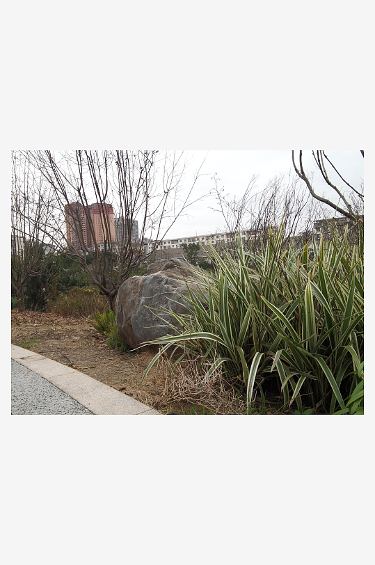 休闲公园生态环境-众图网