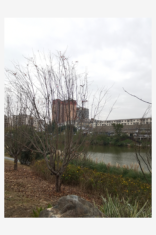 城市公园生态环境-众图网