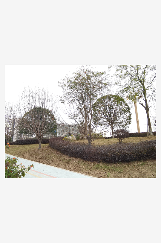 城市公园生态环境-众图网