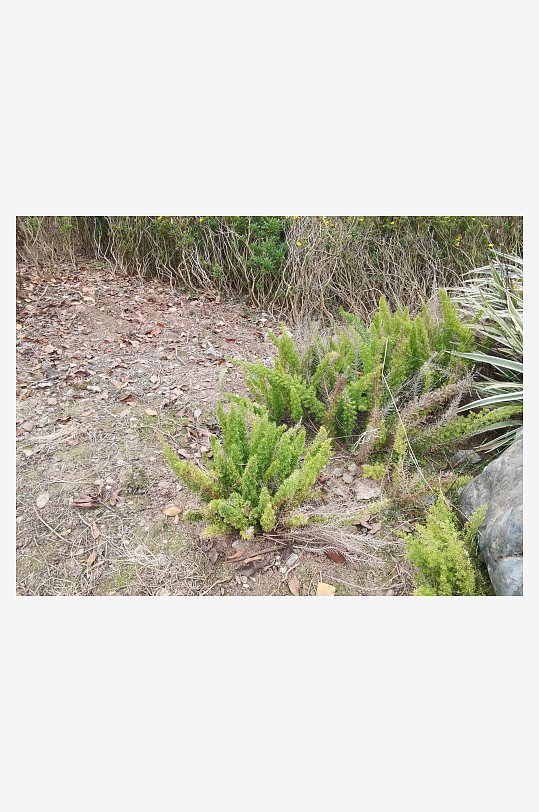 城市公园生态环境-众图网