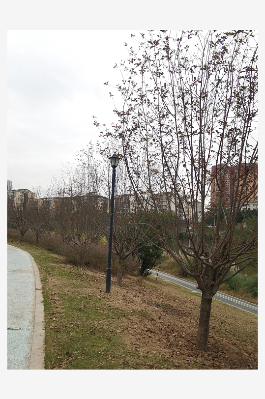 城市公园舒适环境-众图网