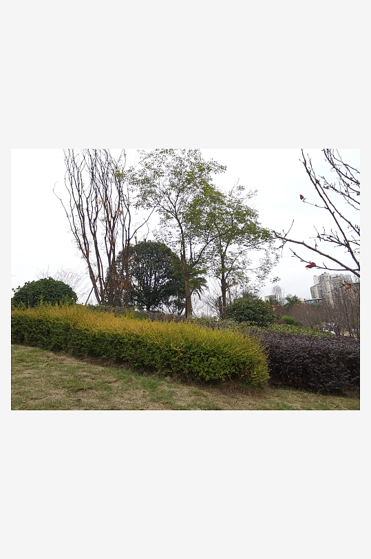 城市公园舒适环境-众图网