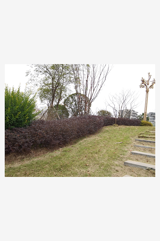 城市公园舒适环境-众图网