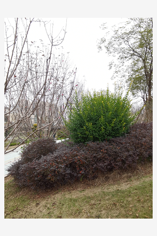 城市公园休闲环境-众图网