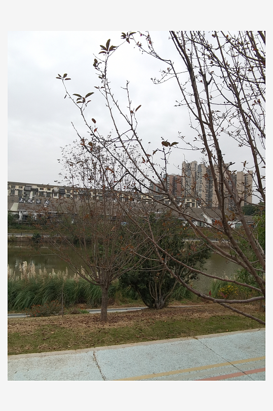 城市公园休闲环境-众图网