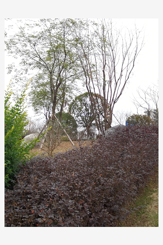 城市公园休闲环境-众图网