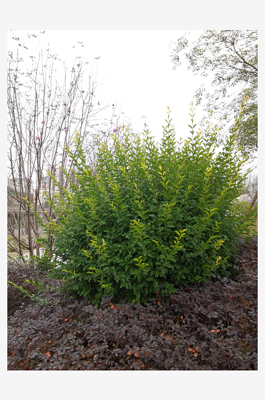 城市公园休闲环境-众图网