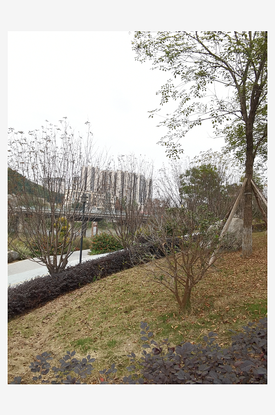 城市公园休闲环境-众图网