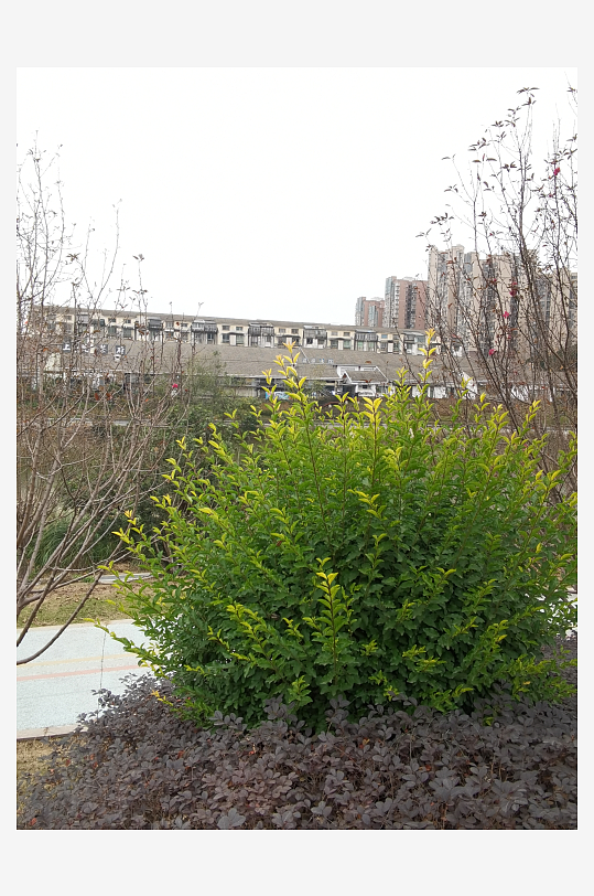 城市公园休闲环境-众图网