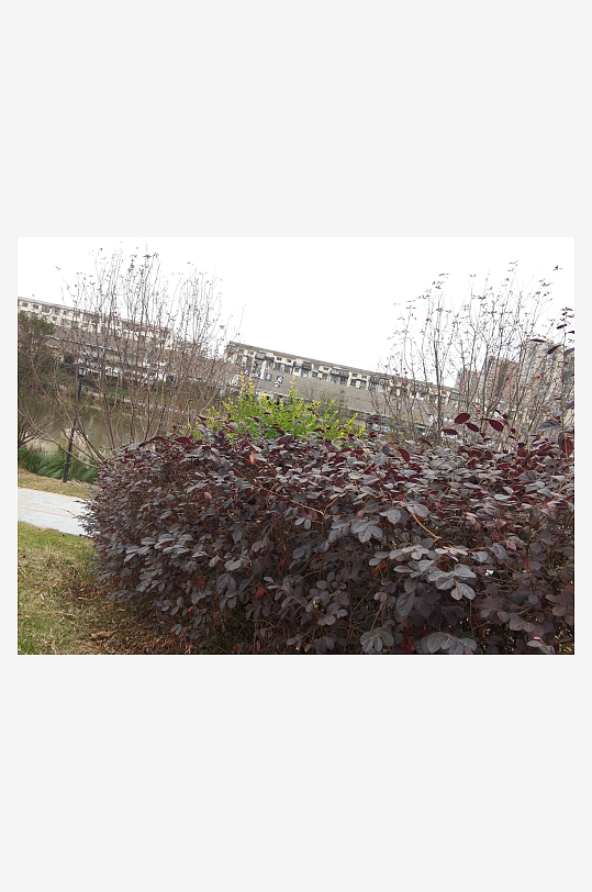 城市公园休闲环境-众图网