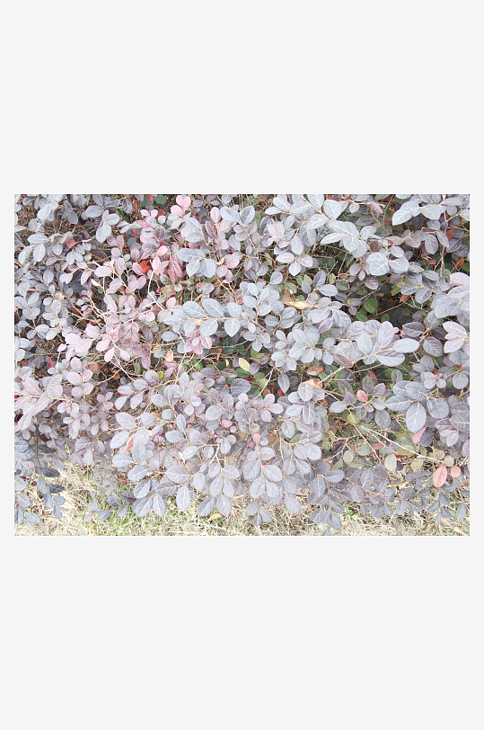 城市公园悠闲生活环境-众图网