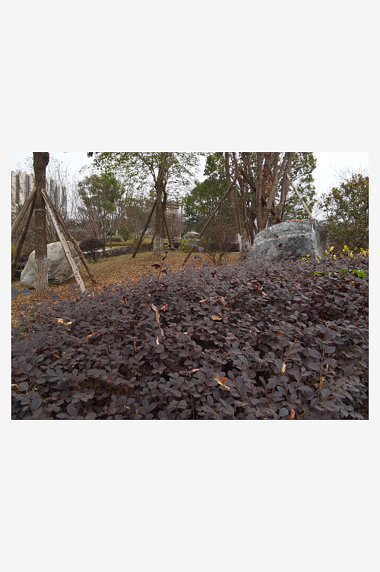 城市公园悠闲生活环境-众图网