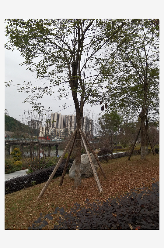 城市公园悠闲生活环境-众图网