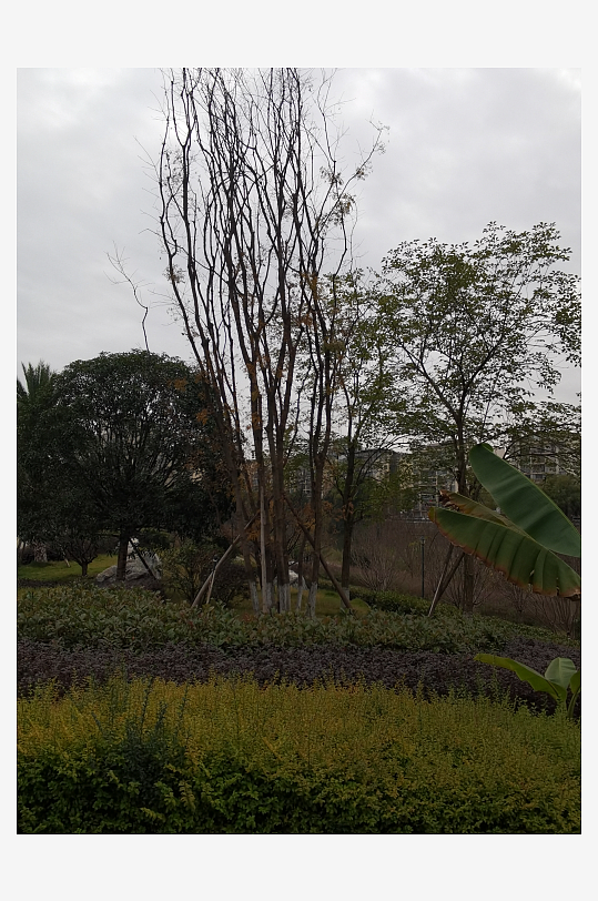 城市公园悠闲生活环境-众图网